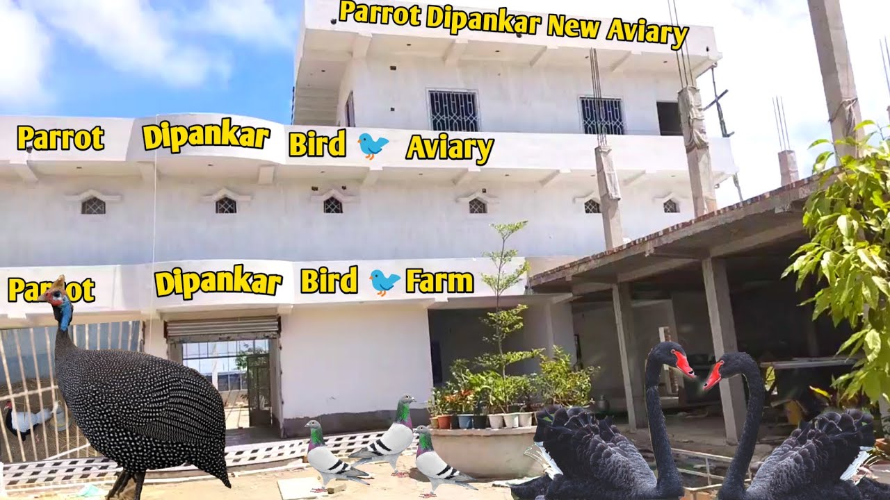 Visit to Parrot Dipankar’s Bird Farm | New Open Aviary Tour @PARROTDIPANKAR