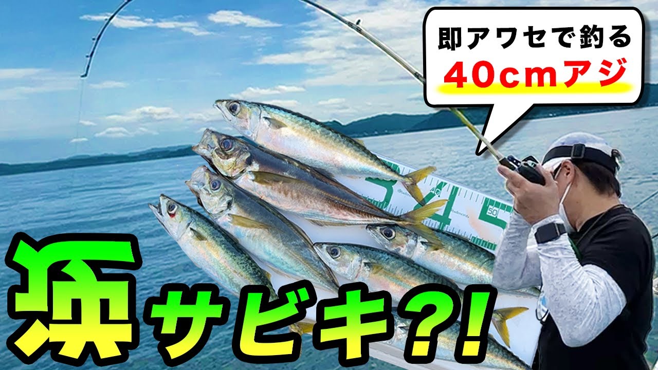 【アジ釣り】ギガアジを即アワセする『逆サビキ』が面白すぎた！