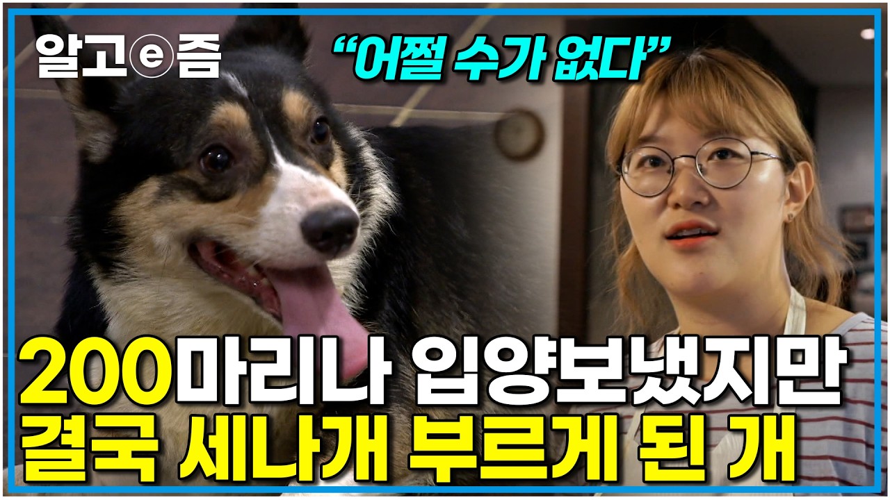 하지만 개의 속 마음은 전혀 달랐다｜세상에 나쁜 개는 없다｜알고e즘