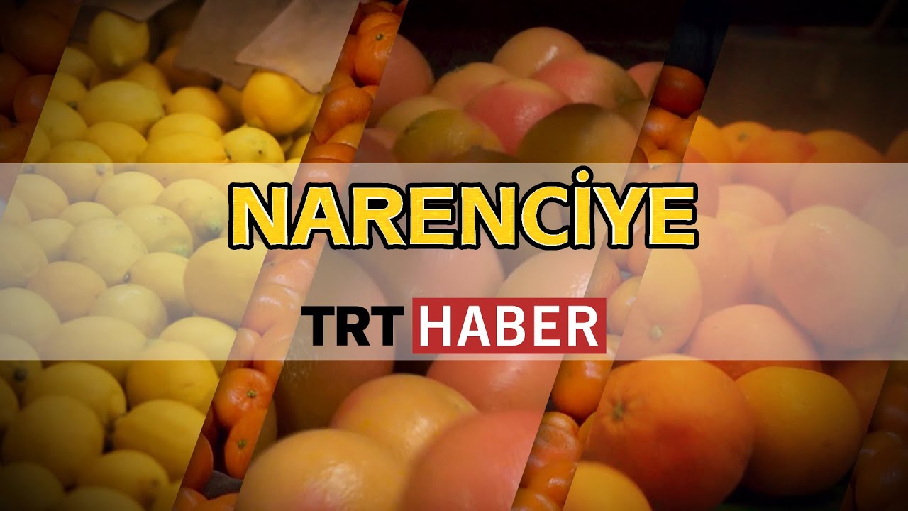 Narenciye - Belgesel - TRT HABER