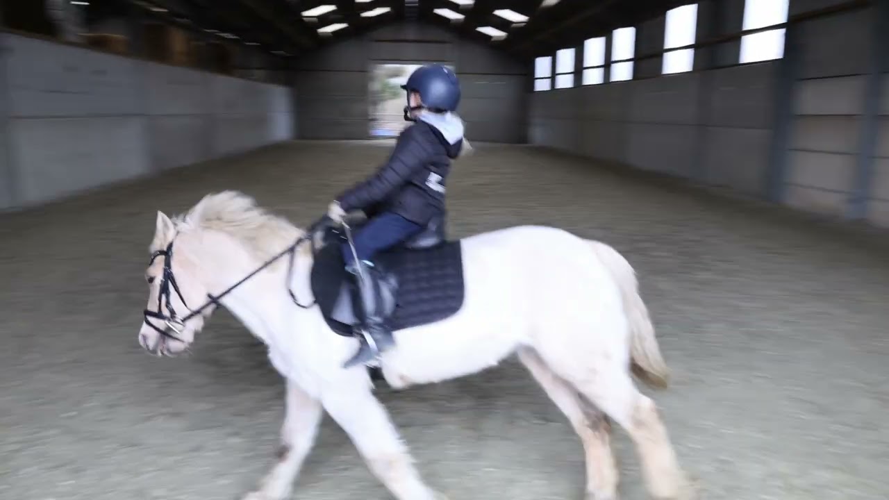 Lotte in Galop (1/2/2026)