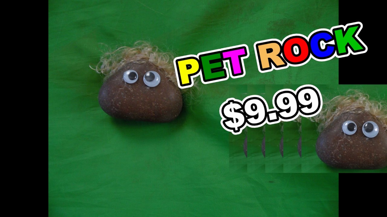 Pet Rock Commercial