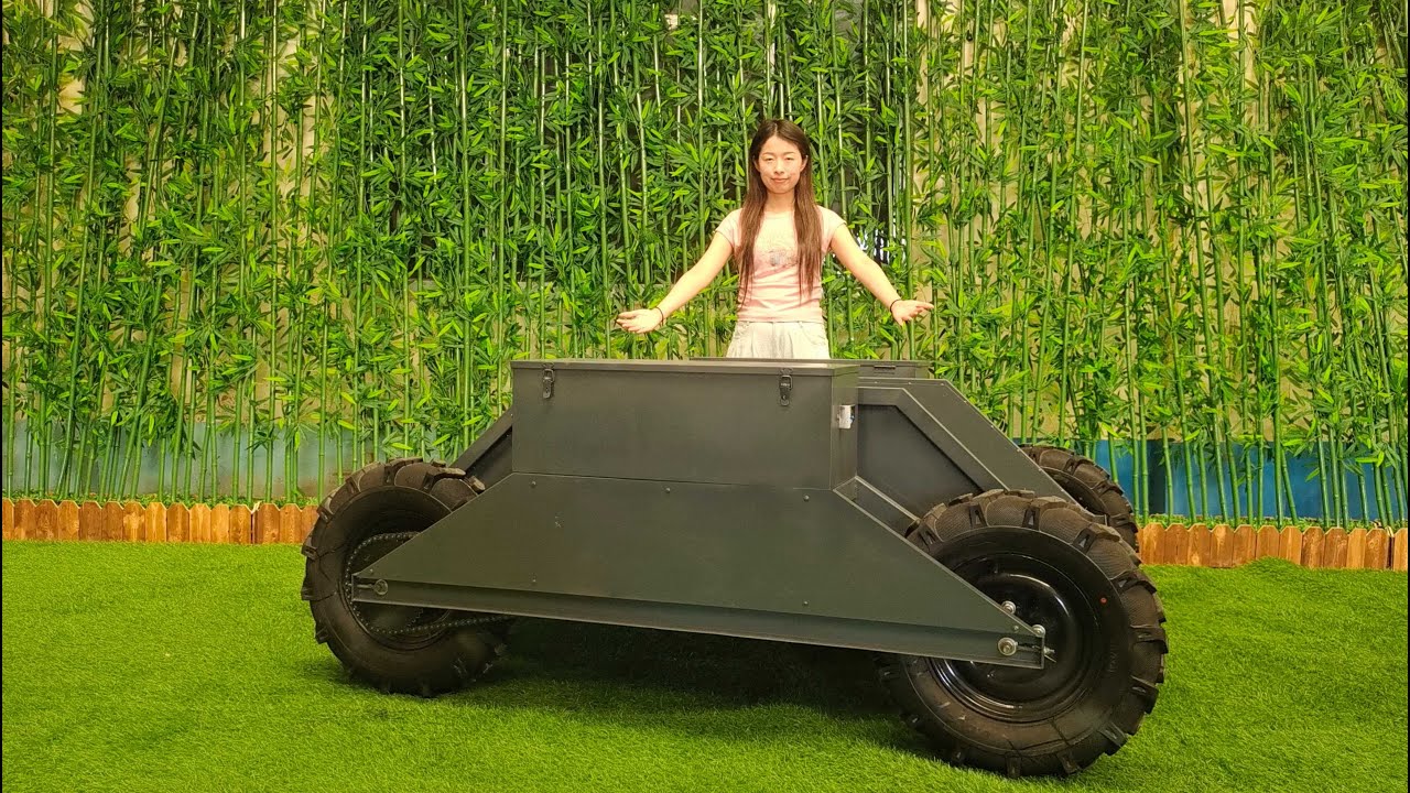 Designed for rugged terrain transportation--Vigorun Remote Control All Terrain Transport (RAT660)