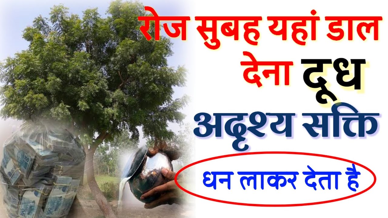 मात्र एक गिलास कच्चा दूध यहां जाकर डाल देना, अदृश्य शक्ति स्वयं धन लाकर देता है//