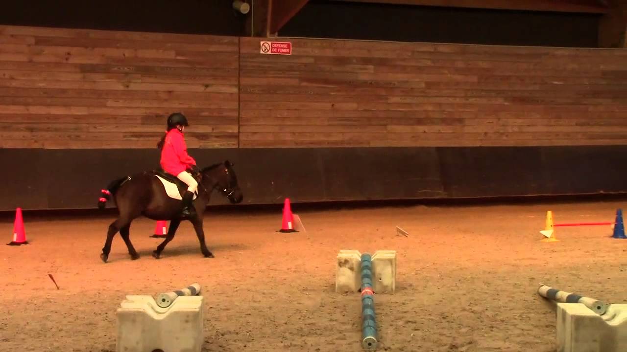 Equipe ACBB Poney shetland - Concours du 03/03/2013 - Equifun à Villeneuve la Garenne