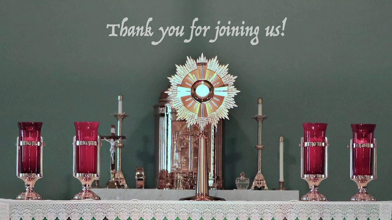 Thirty-Third Sunday in Ordinary Time - Sunday, November 16, 2025 - 8:30 am Mass