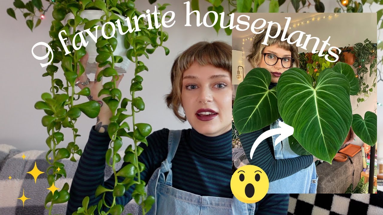 🌿 plants that I've been loving this November [2022] 🌿 top 9 favourite houseplants!