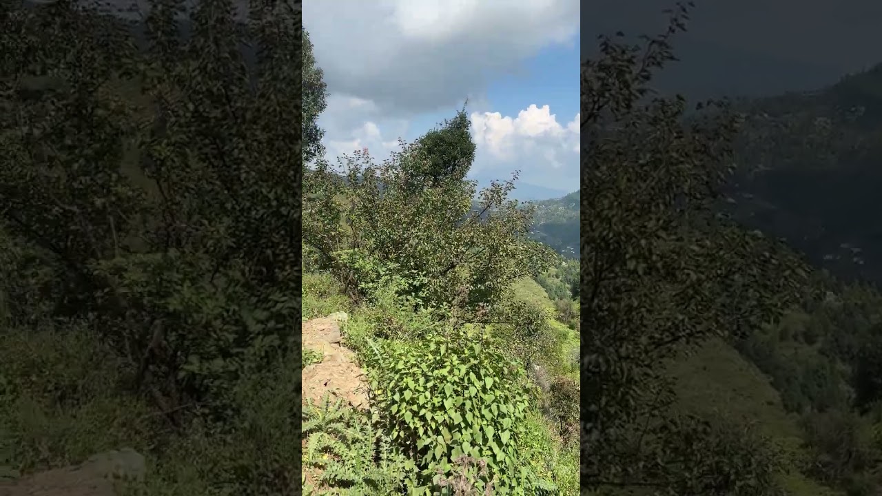 Himalayan view Property in Supi (Mukteshwar) | 2.5 Nali & above option available |Peaceful location