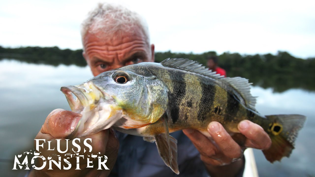 Im Wasser mit Zitteraalen: Drei mysteriöse Todesfälle | S6 E04 | Fluss Monsters