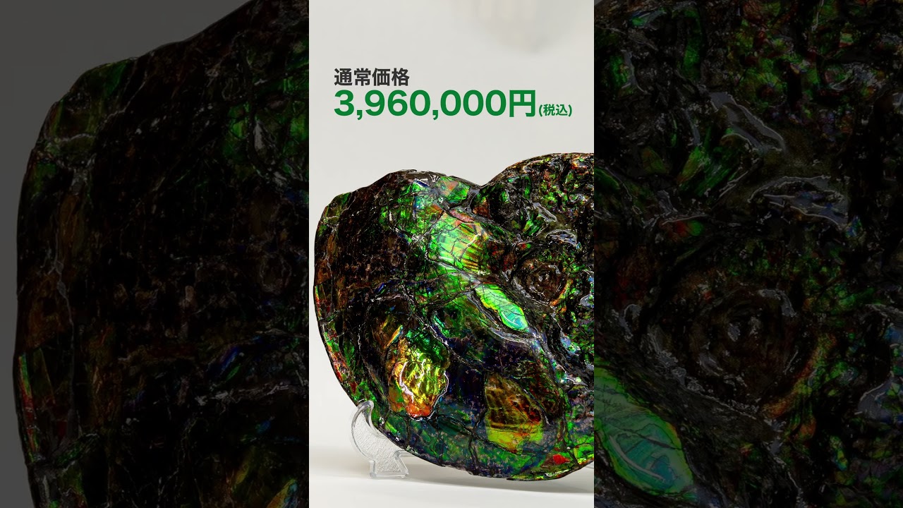 化石であり宝石！７０００００００年前からやってきたアンモライト！