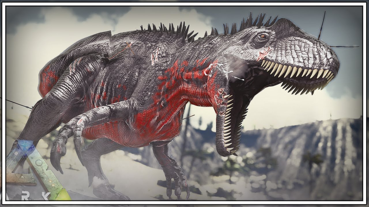 WE CHALLENGE THE SAVAGE ACRO TO A FIGHT... | ARK Caballus [Episode 97]