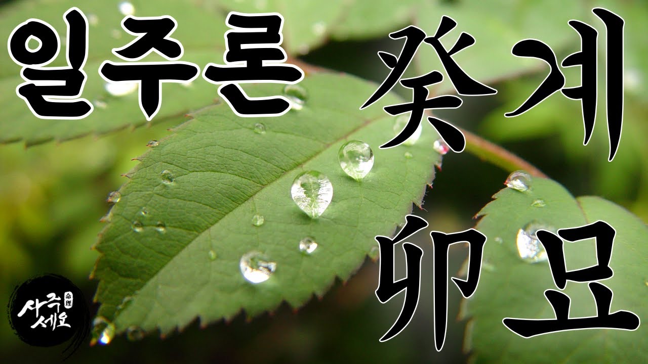계묘일주 [따뜻하고 아름다운 말의 기운]