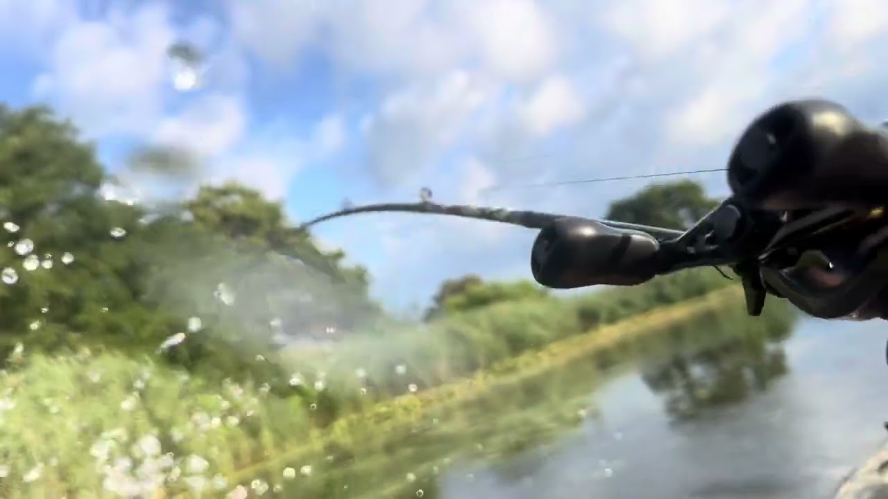 South Jersey Snakehead and Bowfin!!!