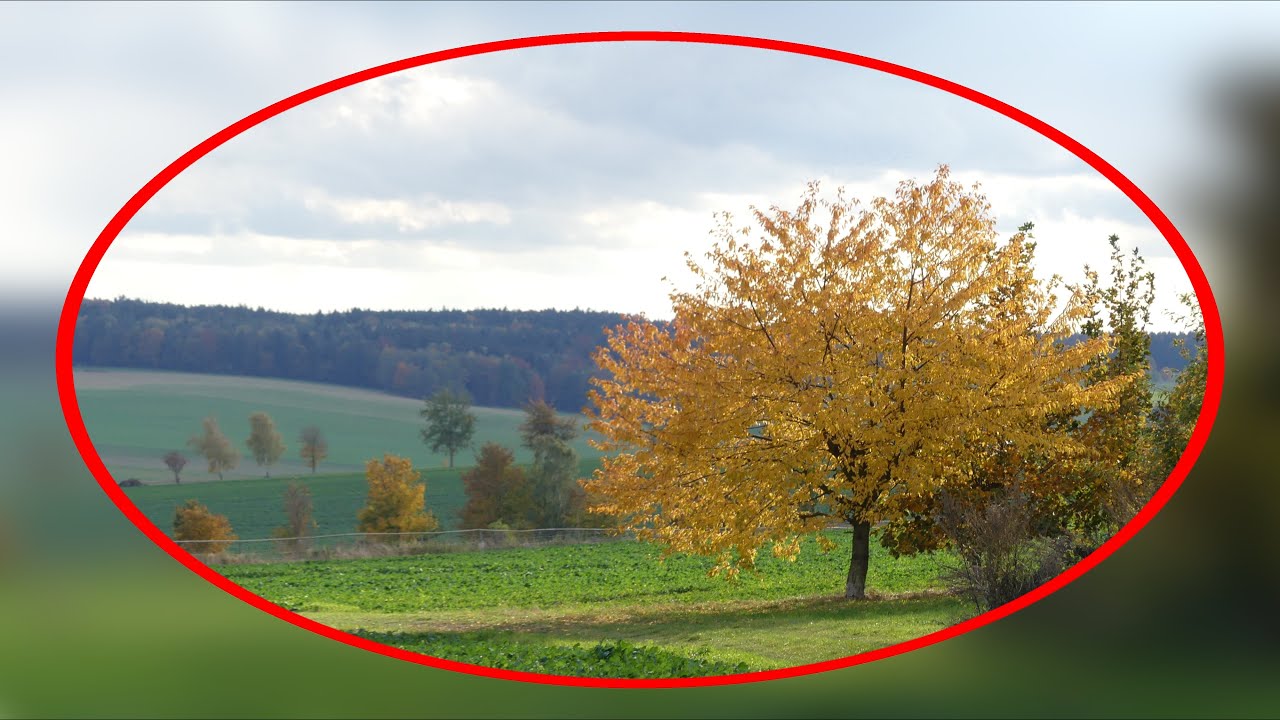 Hauptmannsgrün (Heinsdorfergrund) - bunte Farben, Idylle und viel Fernsicht