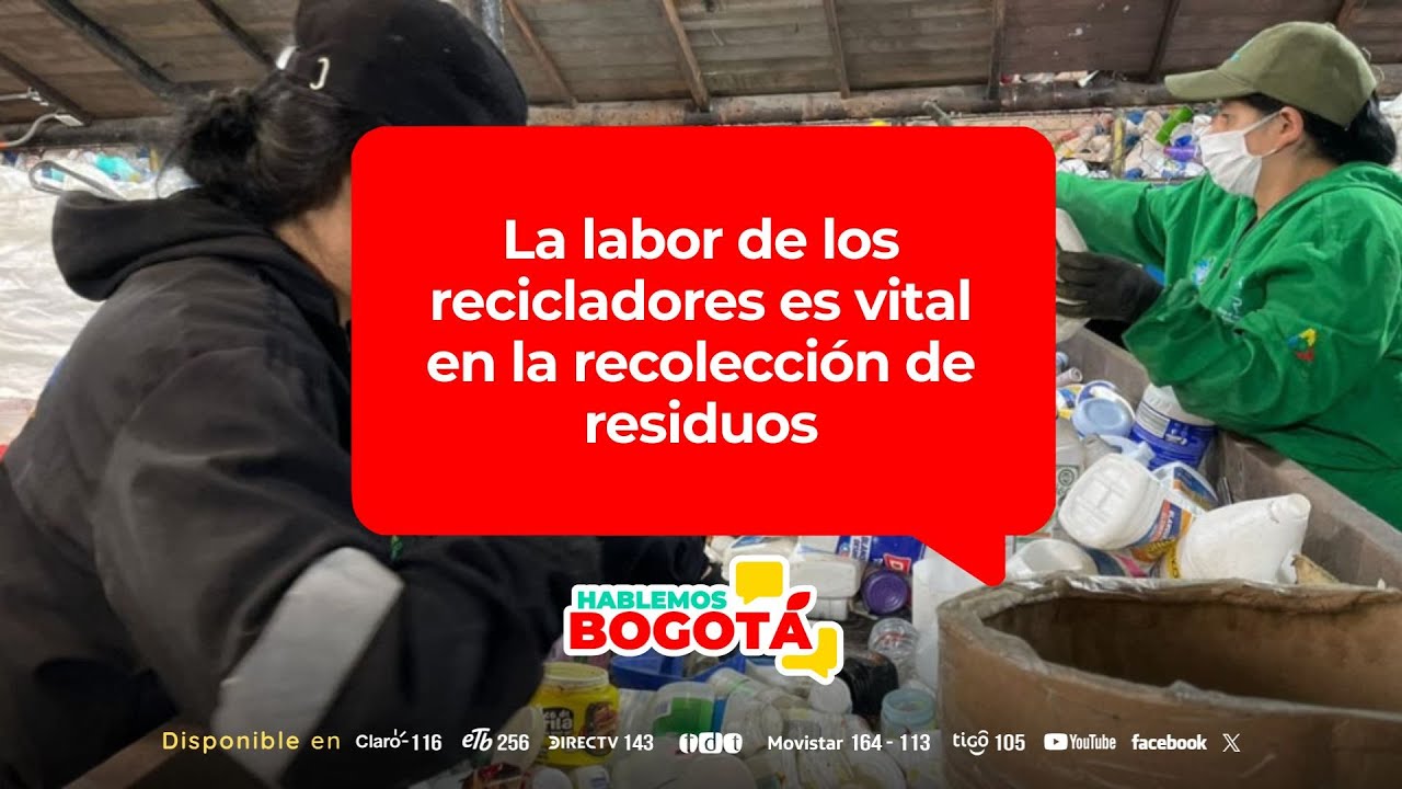 Recicladores explican la importancia de la gesti&oacute;n adecuada de residuos | Hablemos Bogot&aacute;