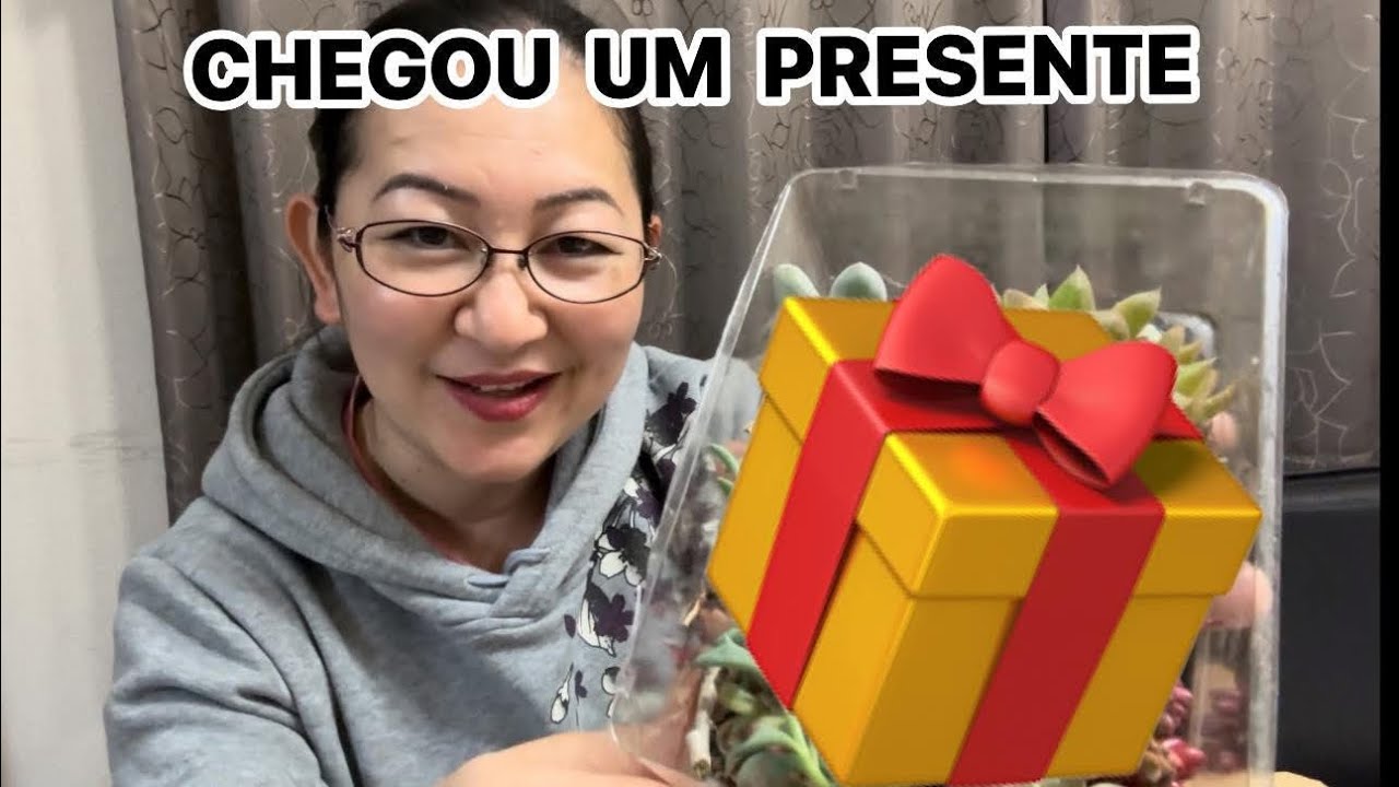 ABRINDO RECEBIDO / TENHO UMA NOVIDADE PARA  VOCÊS