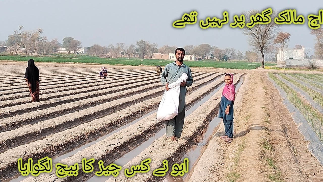 5 February 2026Aaj Malik Ghar Per Nahin The Abbu Ne Kis Chij Ka Big Lagvaya // Channel Mirab Family 