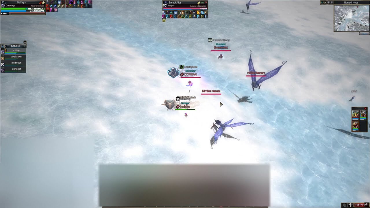 Nallaya Vs N00bs Rappelz