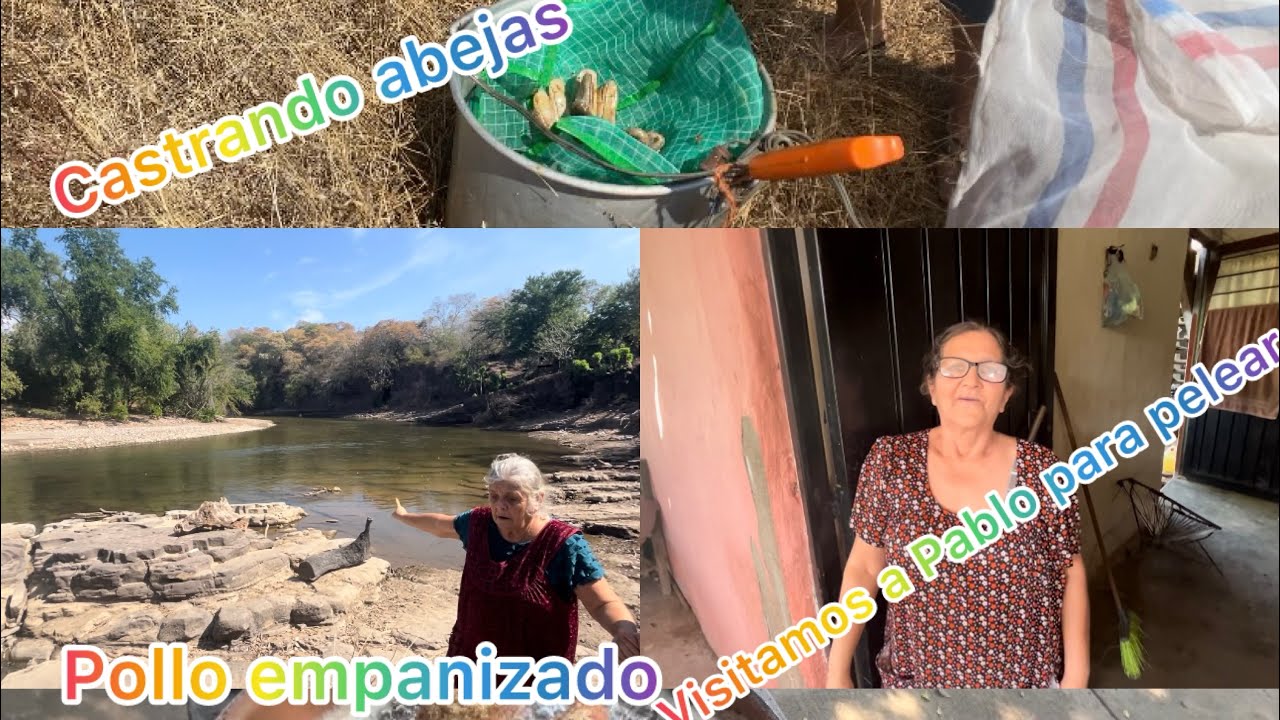 Castrando a la orilla del río en🐝/haciendo pollo empanizado🐔\#déjame decirte