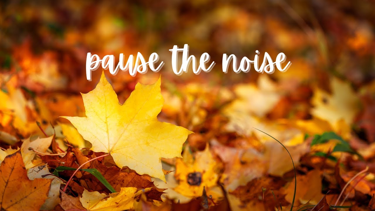 The Fortunate &ndash; Silver Maple | Ethereal Ambient Music for Meditation & Reflection