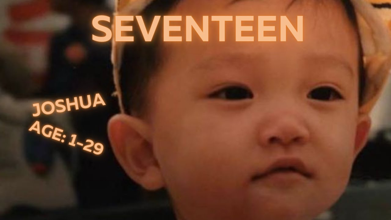 Seventeen's Joshua: From 1-29