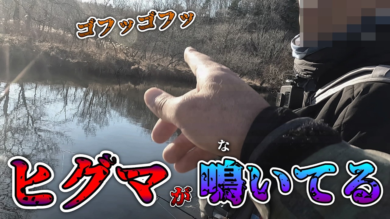 まじで帰ろう！ヒグマがずっと吠えてる。自然の驚異から命を守る行動。恐怖の北海道湿原河川釣り。