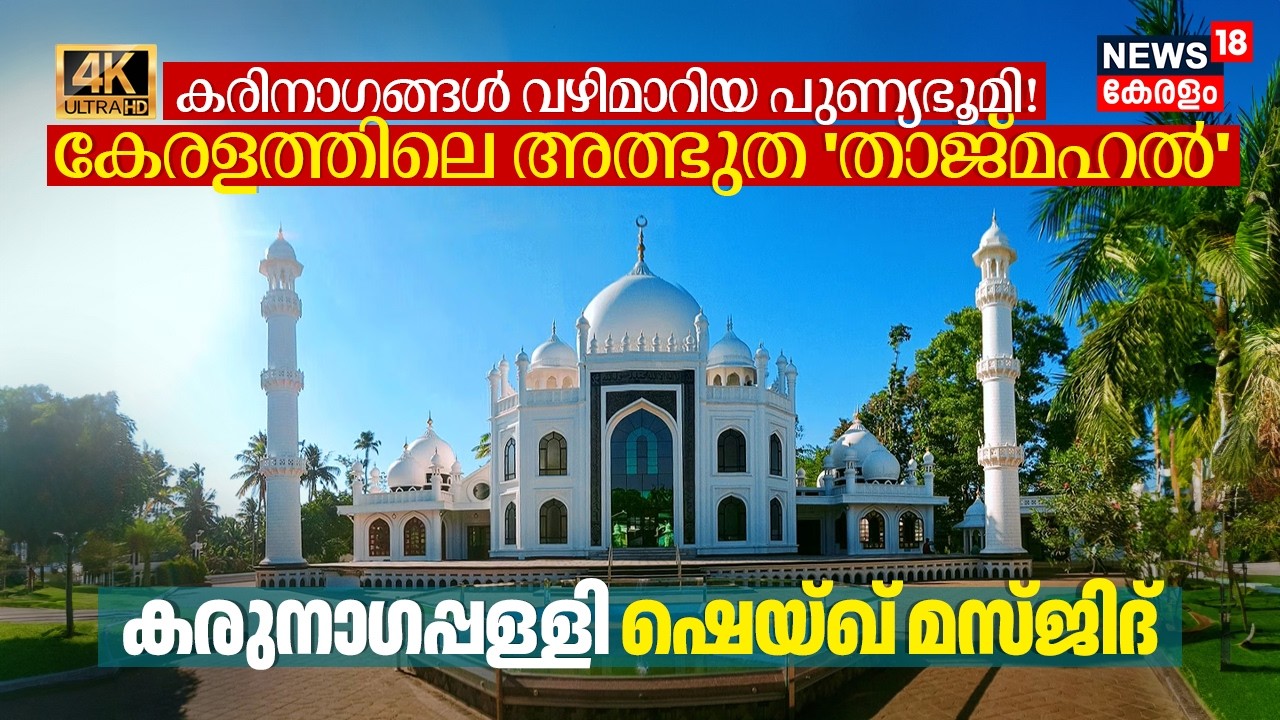 Taj Mahal of Kerala! കരിമൂർഖൻ പോലും ഫണം താഴ്ത്തിയ Karunagappally Sheikh Masjid അദ്ഭുതചരിത്രം 4K|N18V