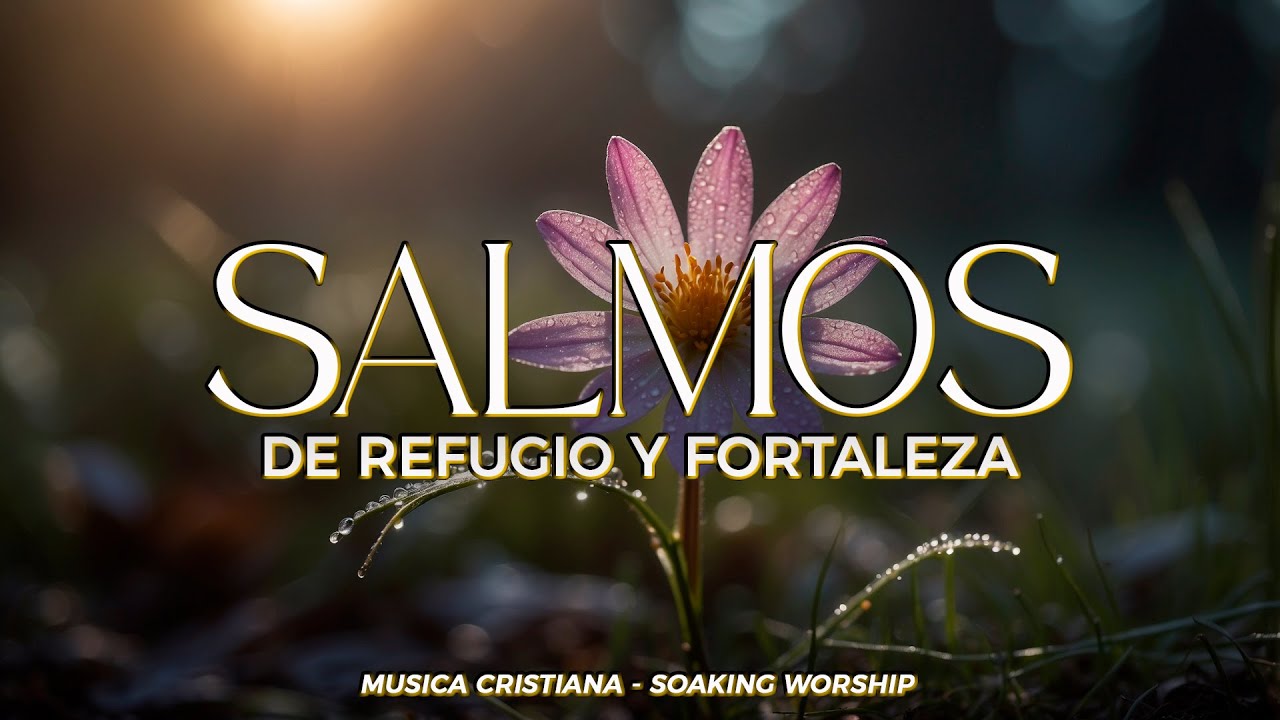 SALMOS CANTADOS de FORTALEZA y FE ✨ | Dios te da PAZ en Medio de la Ansiedad 🕊️ | Musica Cristiana