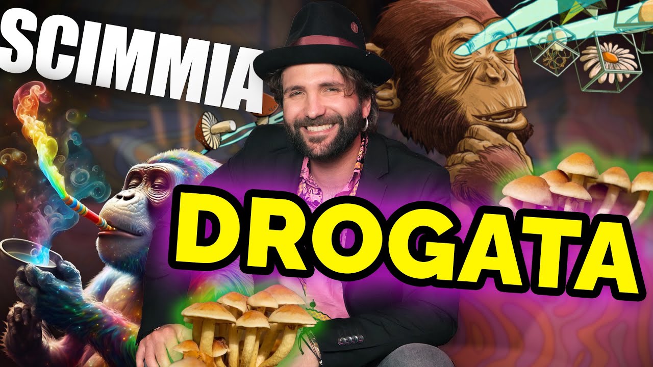 La teoria della SCIMMIA IN BOTTA DA FUNGHETTI