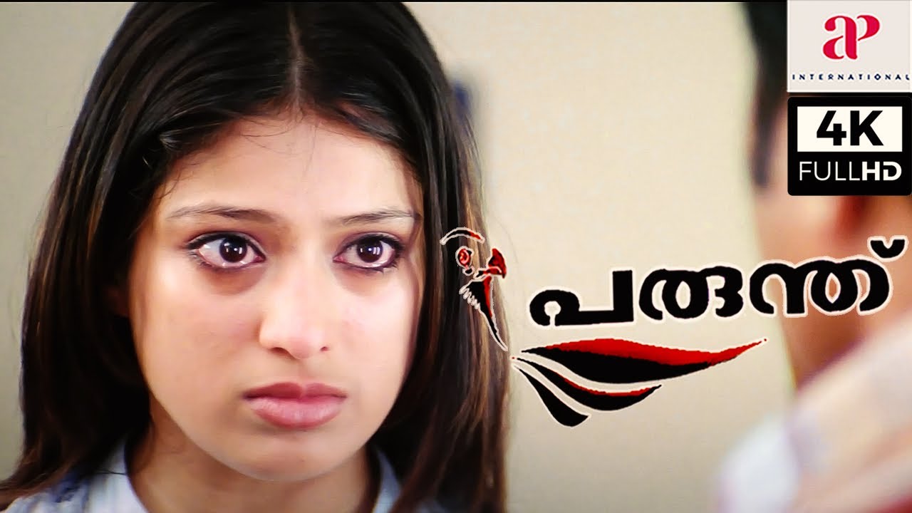 Parunthu 4K Malayalam Movie Scenes | Mammootty Realizes His Mistakes | Raai Laxmi | API Malayalam