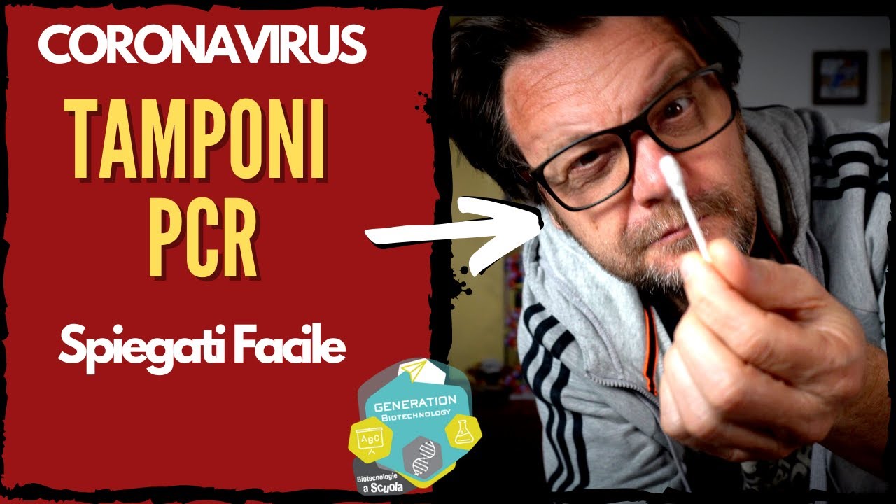 Coronavirus: tamponi vs. sierologico- spiegato facile