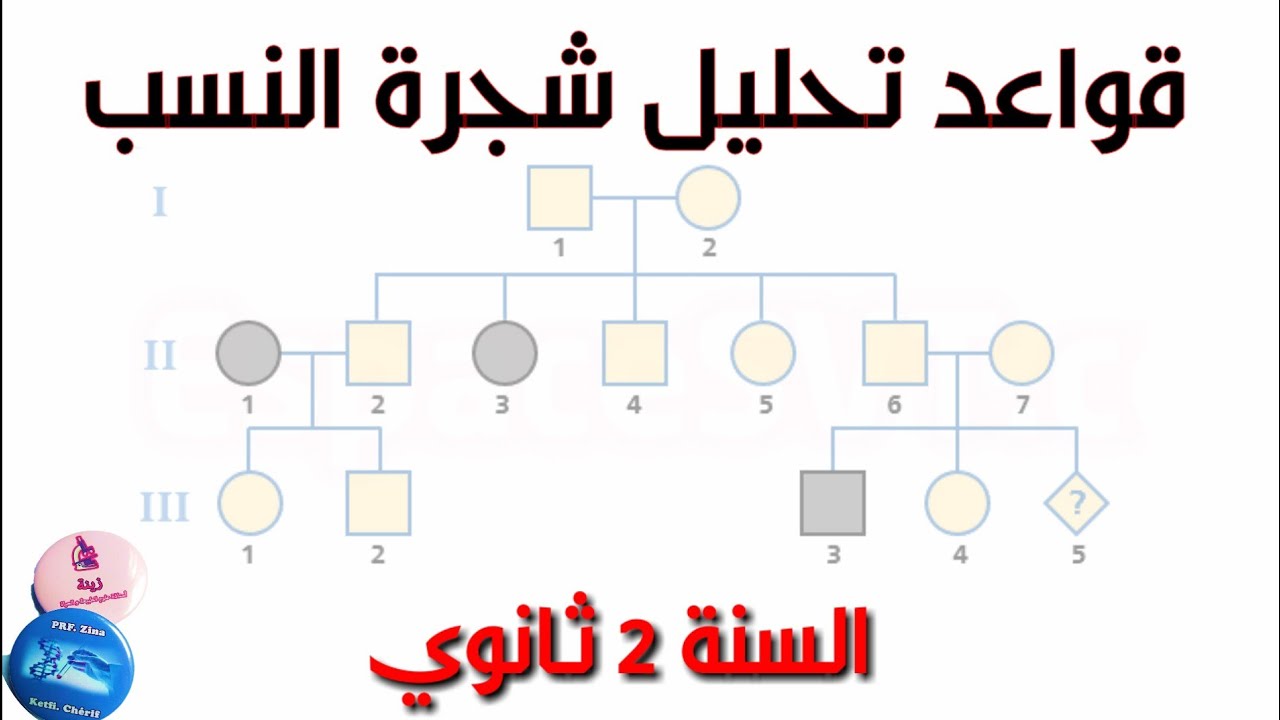 القواعد الأساسية لتحليل شجرة النسب بطريقة مبسّطة🧬سهلة الاستيعاب خاص بمستوى السنة 2 علوم تجريبية