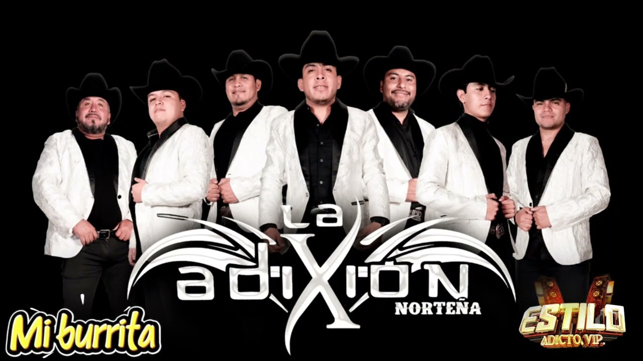 El Miedoso | Mi Burrita - Adixion Norteña