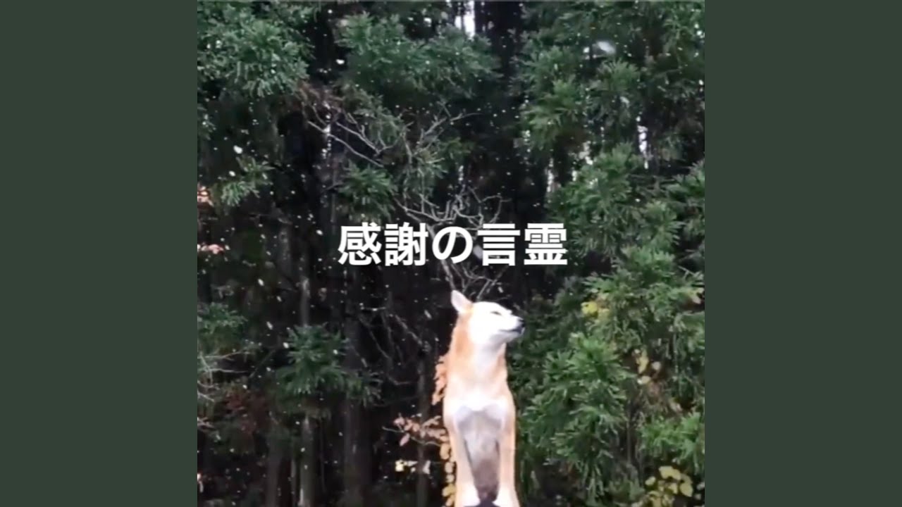 感謝の言霊 (non Ver.)