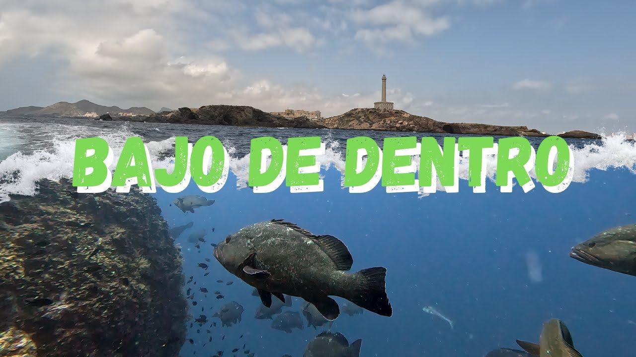 🌊 Explorando el Bajo de Dentro – Vida Marina a lo Grande en Cabo de Palos 🤿🐟