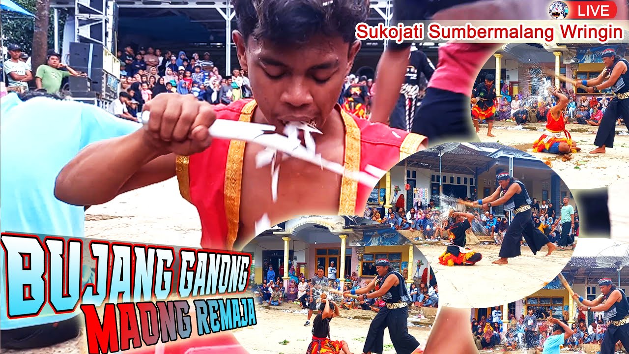 JARANAN!!! MAONG REMAJA LIVE SUKOJATI SUMBERMALANG WRINGIN