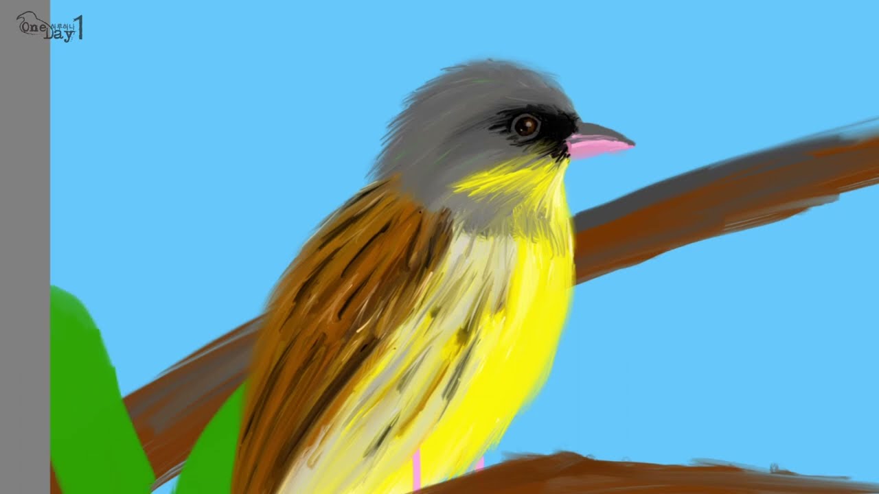 Masked Bunting 섬촉새 그리기