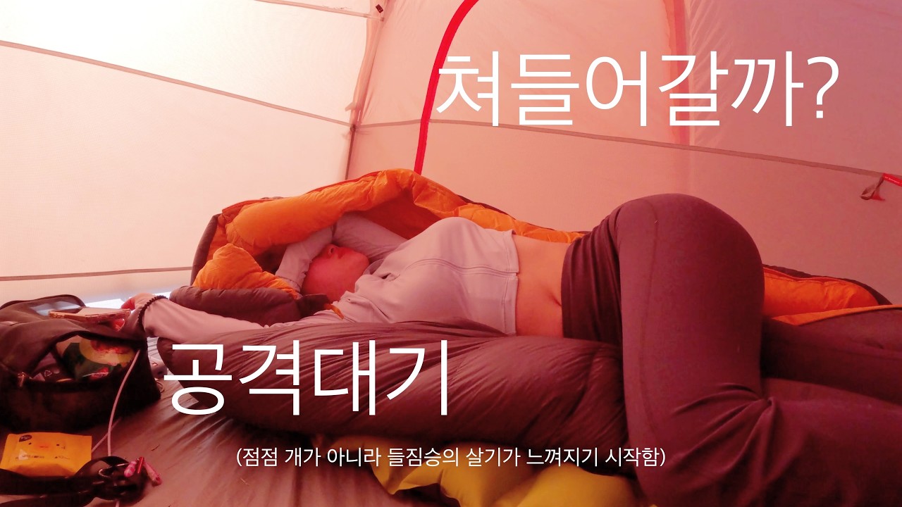 아무도 없는 해변에서 나홀로.. 아무거나 잡아먹고 살아남기