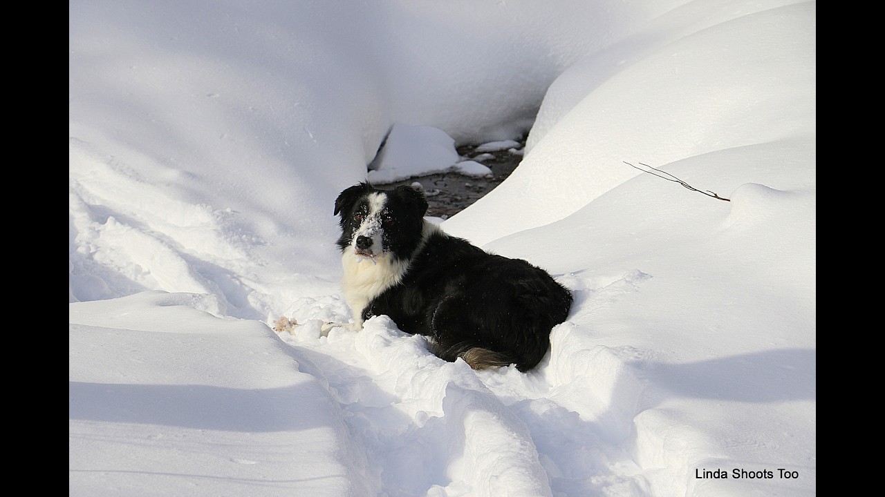 Ange & Lou Snow Shoe Trail