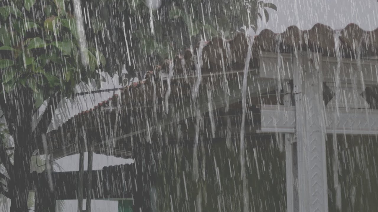 Super heavy rain on the zinc roof, deep healing for insomnia and tinnitus, ASMR