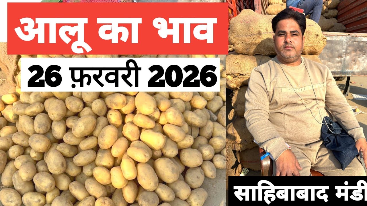 26 February 2026 🥔आलू का भाव साहिबाबाद मंडी | toady potato rates #aalu #aalubhav #potato