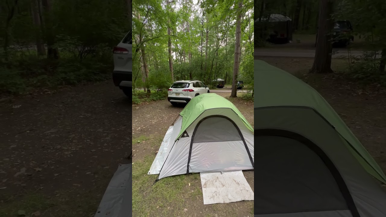 Camping in Glacier National Park #bear #moose #racon #rabbit #bluey #tornado #lego #fortnite #usa