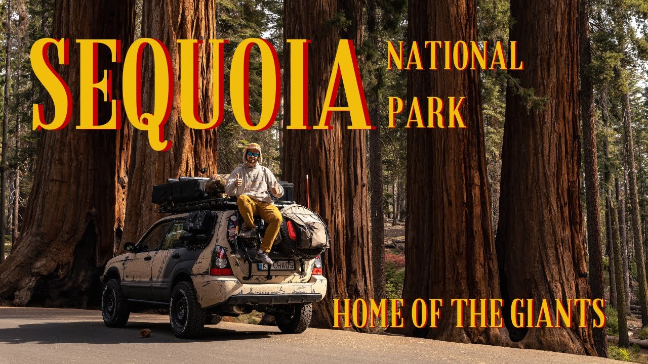 EXPLORING SEQUOIA National Park With Our Subaru Forester | Chaos Western USA Trip!