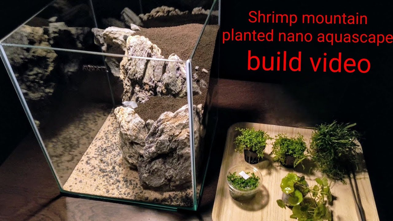 Planted nano freshwater fish tank. No Co2, Low Tech, Shrimp aquarium, build video.