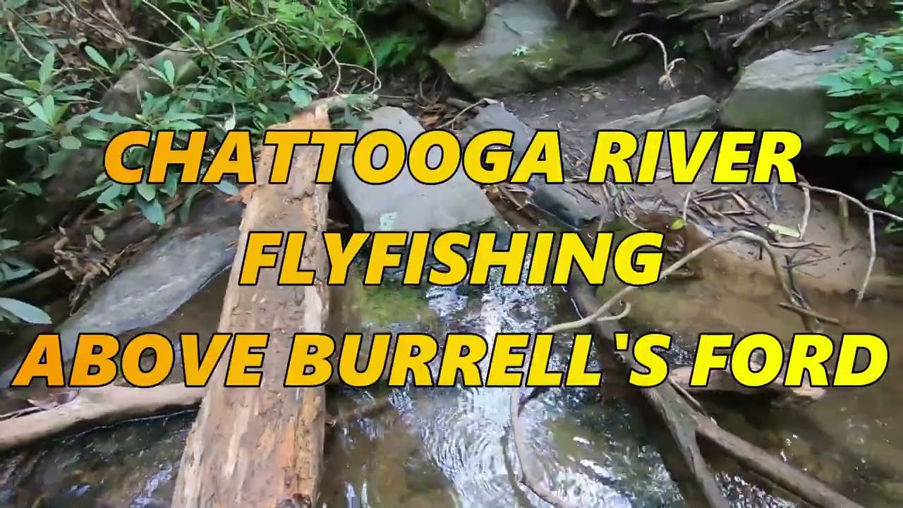 Flyfishing on the Chattooga River above Burrell's Ford near Elicots Rock Wilderness Area.