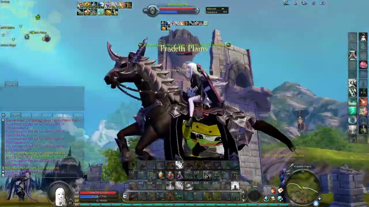 Euro Aion 4.6 Only death in pradeth siege PVP Cleric