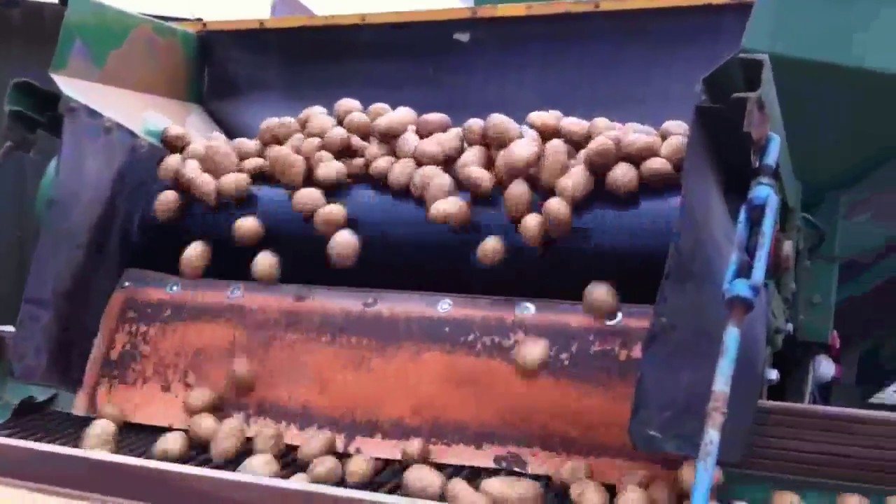 Vloeibare behandeling pootgoed - Van Iperen