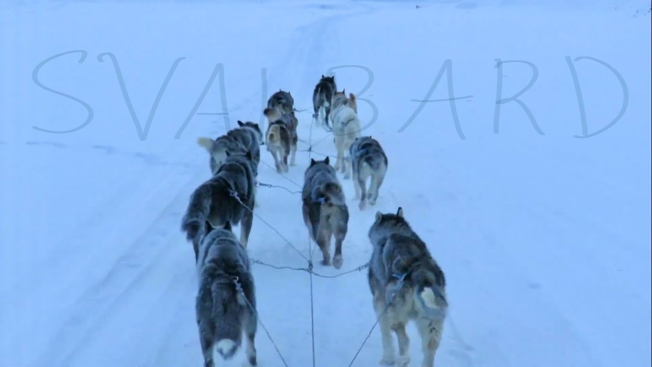 Svalbard LONGYEARBYEN