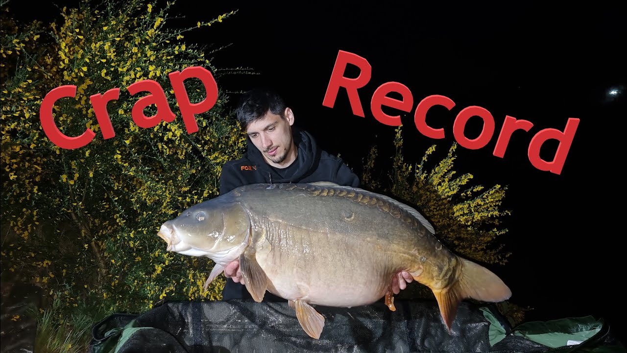Record Personal la Crap In Belgia - Pescuit pe Canale Salbatice!
