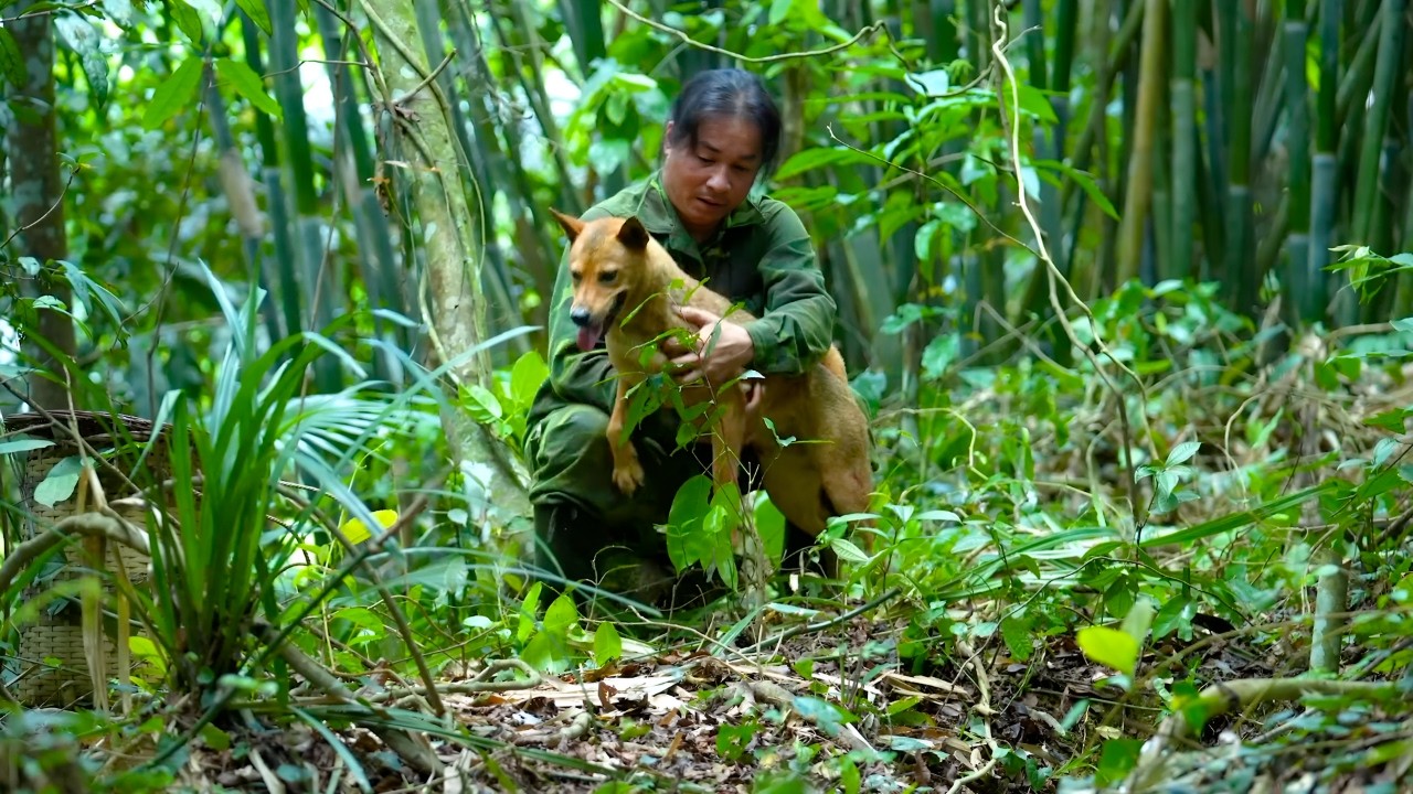 The journey of searching and the moment of reunion with the dog - Heavy rain, survival on the river